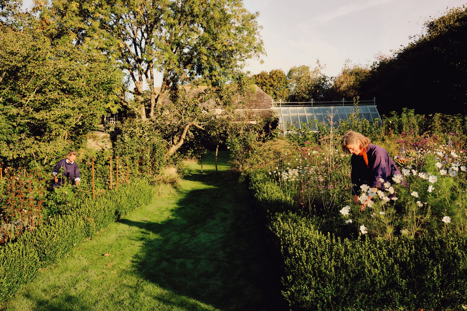 Image may contain Garden Nature Outdoors Grass Plant Backyard Yard Fence Hedge Vegetation Park Lawn and Tree