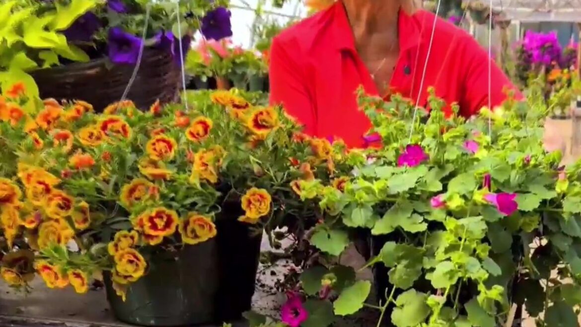 Gardening Update: Flowers for Mother’s Day with Carol Watson Greenhouse station icon
