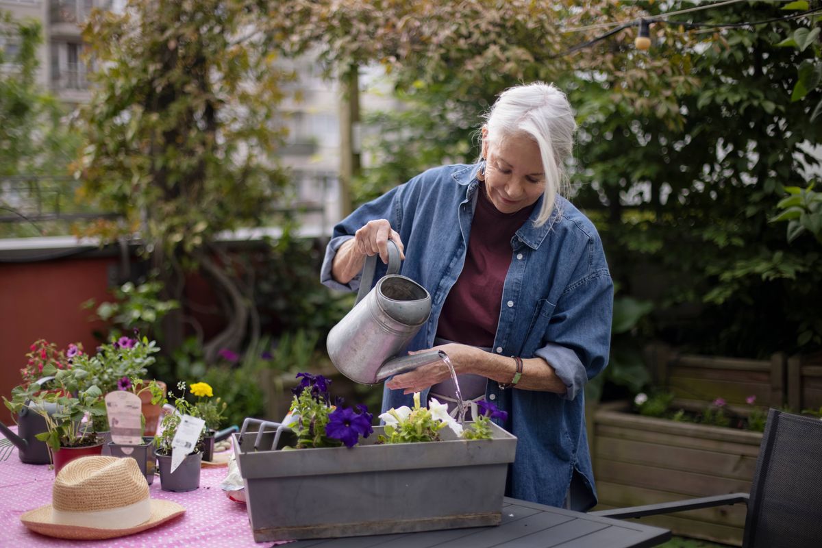 A senior beautiful woman planting flowers on her patio, she watering her plantations