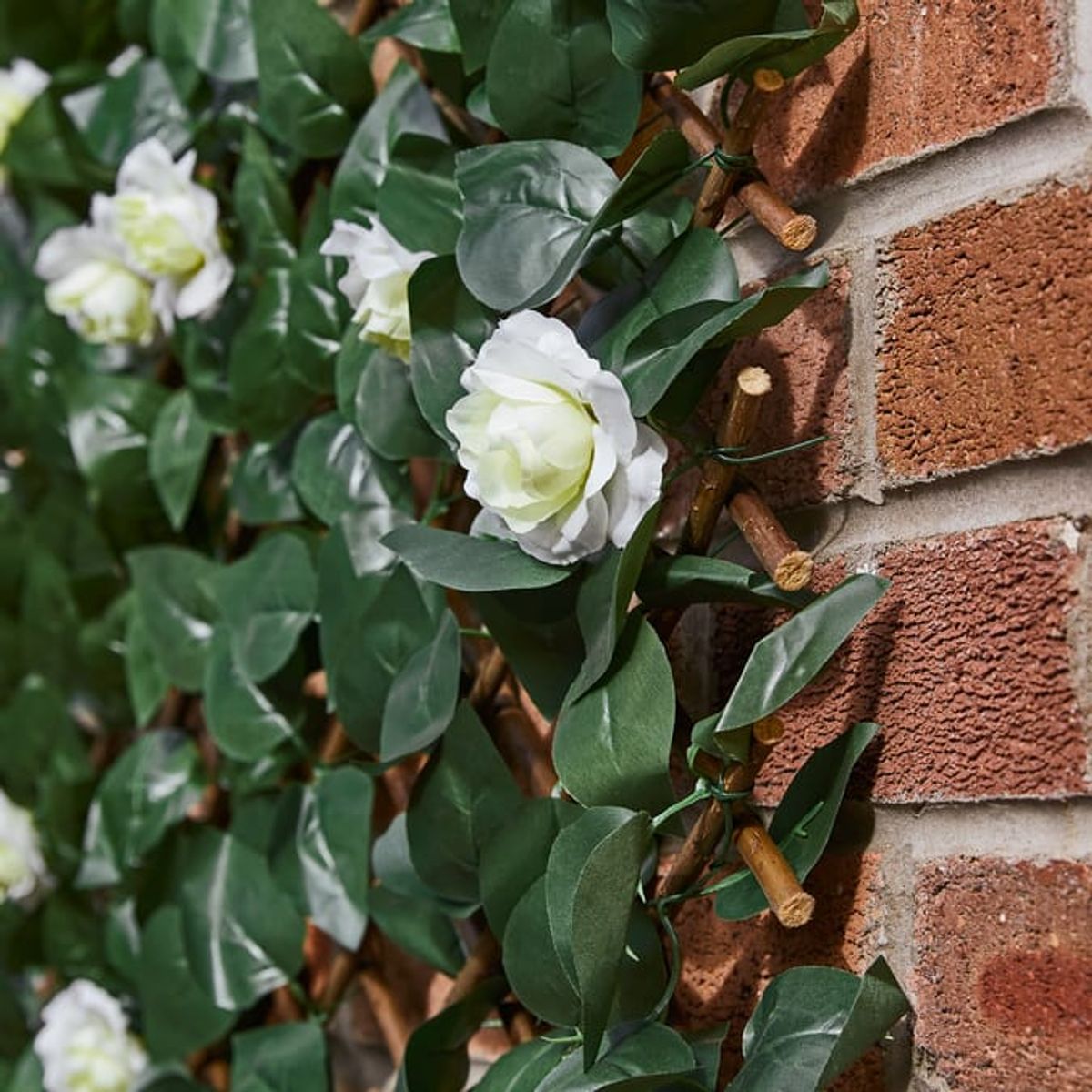 A closeup of an artificial rose garden wall trellis