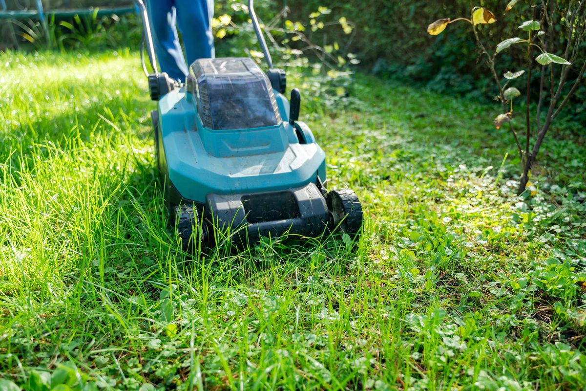 Front view shows lawn mower and person legs during grass mowing in bright sunny weather