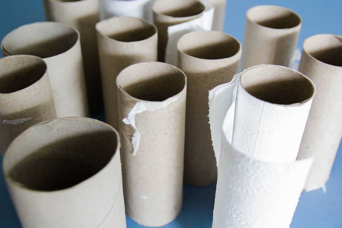 Toilet rolls, used, empty, cardboard