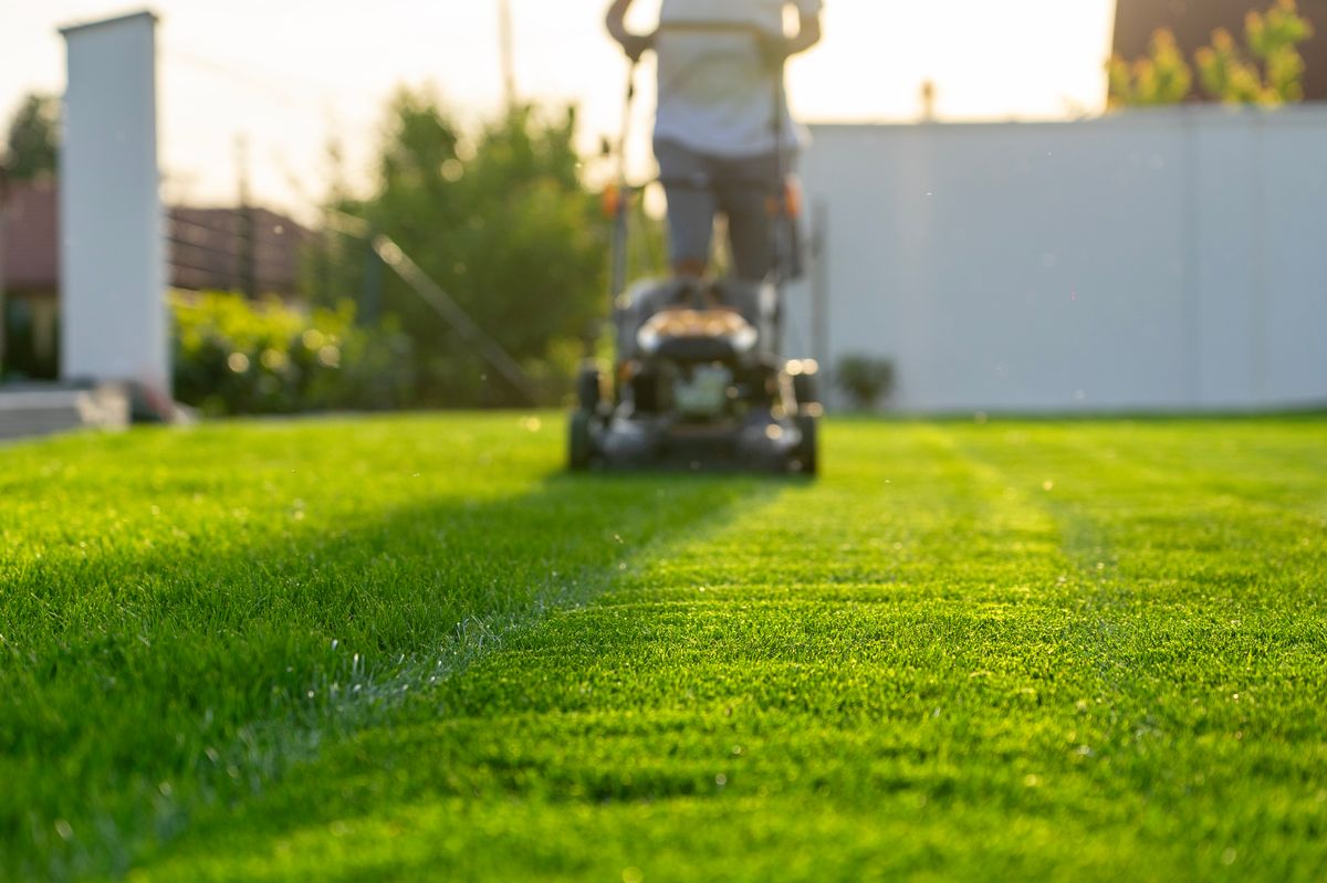 green grass cutting with lawn mower in home garden .