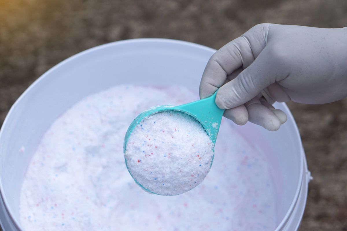 Hand holding a scoop of washing powder with colorful particles for quality inspection, detergent analysis and cleanliness concept, showing hygiene standards and household cleaning product testing.