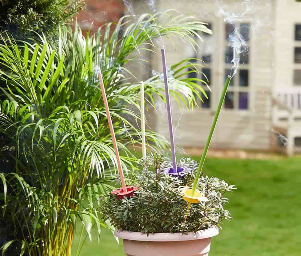 The Partylite Incense Sticks