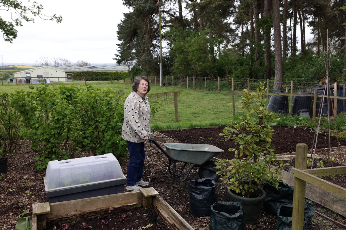 Margaret O'Neill, 84, in the garden which she has cultivated for over 30 years