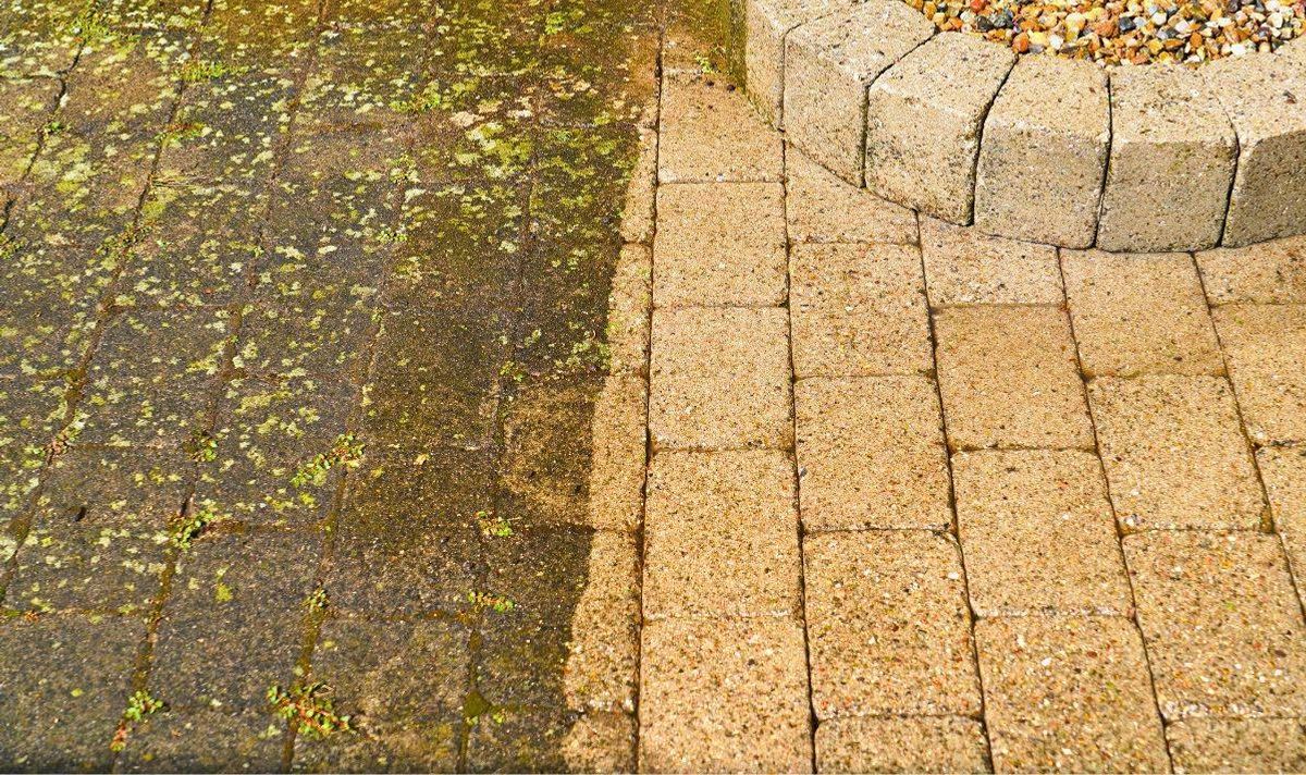 Moss and algae will stay off patios for good