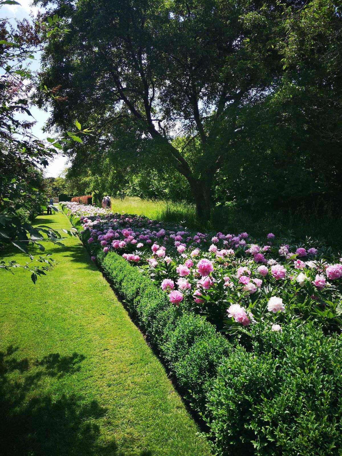  These simple tips are ideal for turning your flower beds into a more colourful, vibrant space