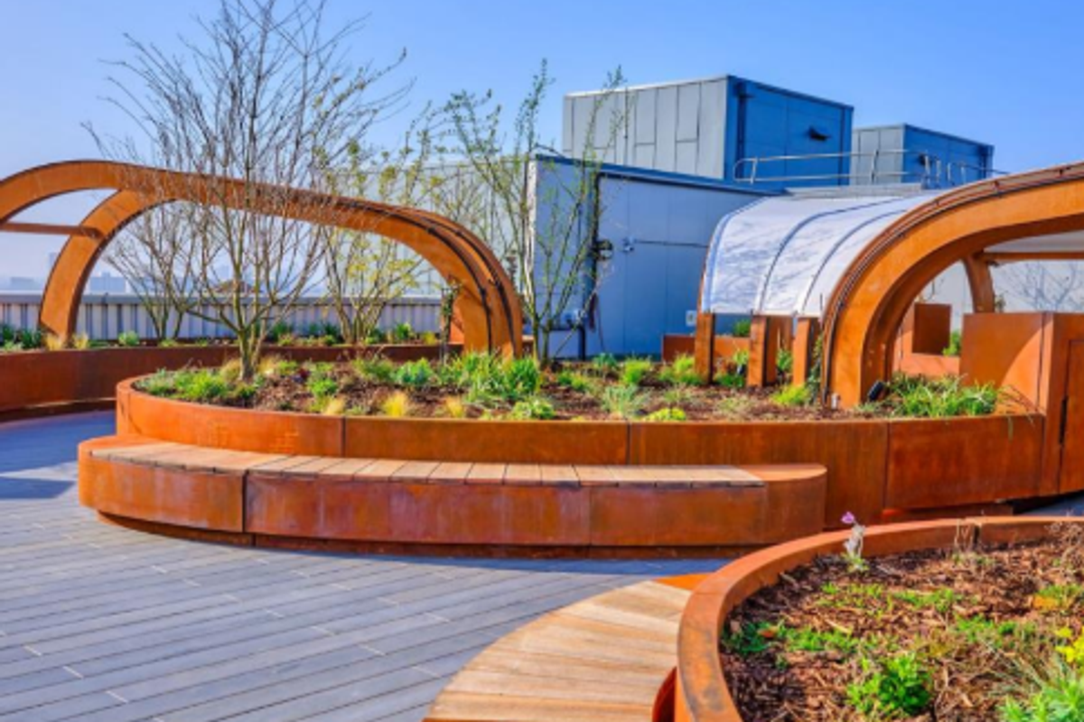 King's has become the first hospital to open a critical care garden on its roof