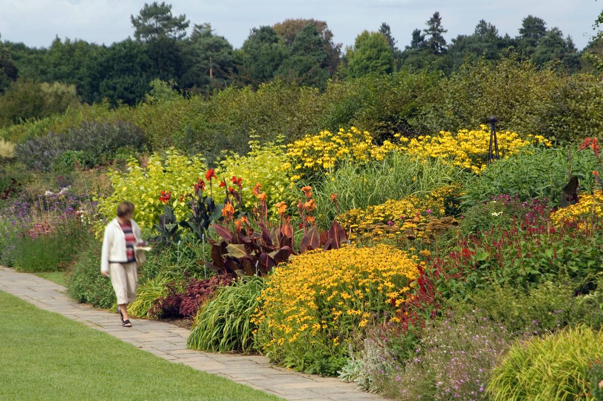 Wisley, England - August 27, 2005: A visitor walking along perennial plants in the Royal Horticultural Society's Wisley Garden park.