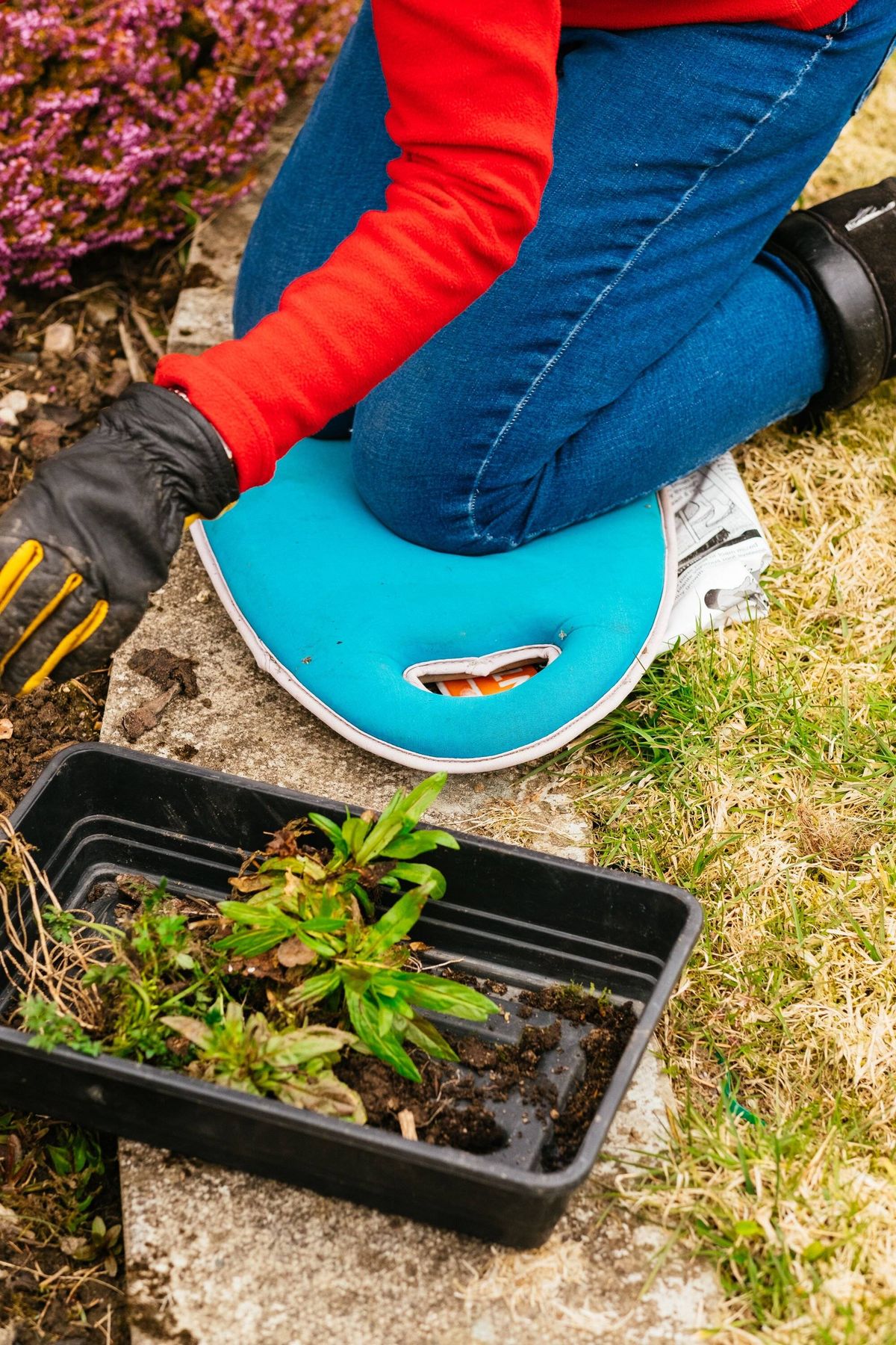 Woman weeding flowerbed