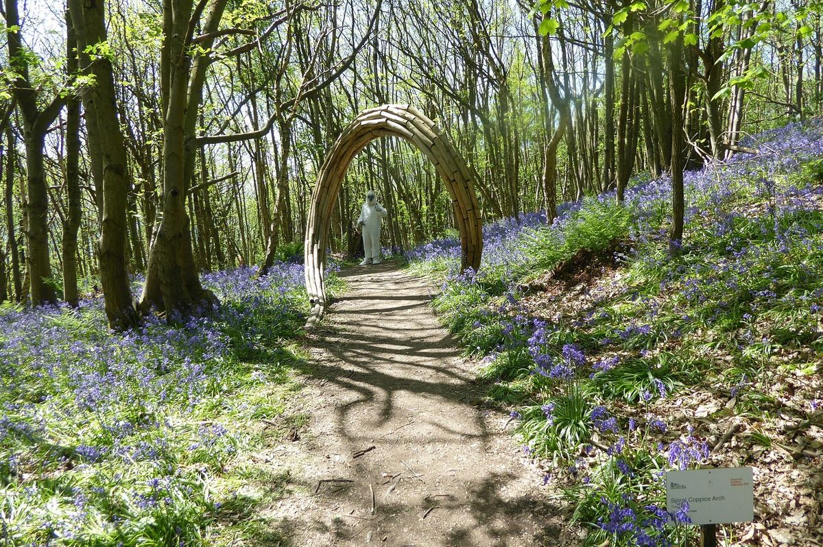 The garden near Sevenoaks features a stunning woodland bluebell walking trail.