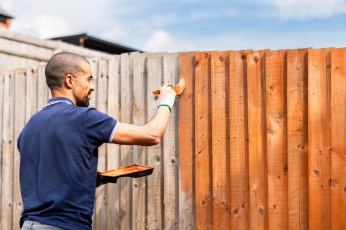UK households painting garden fences risk £2,500 fine over neighbour law
