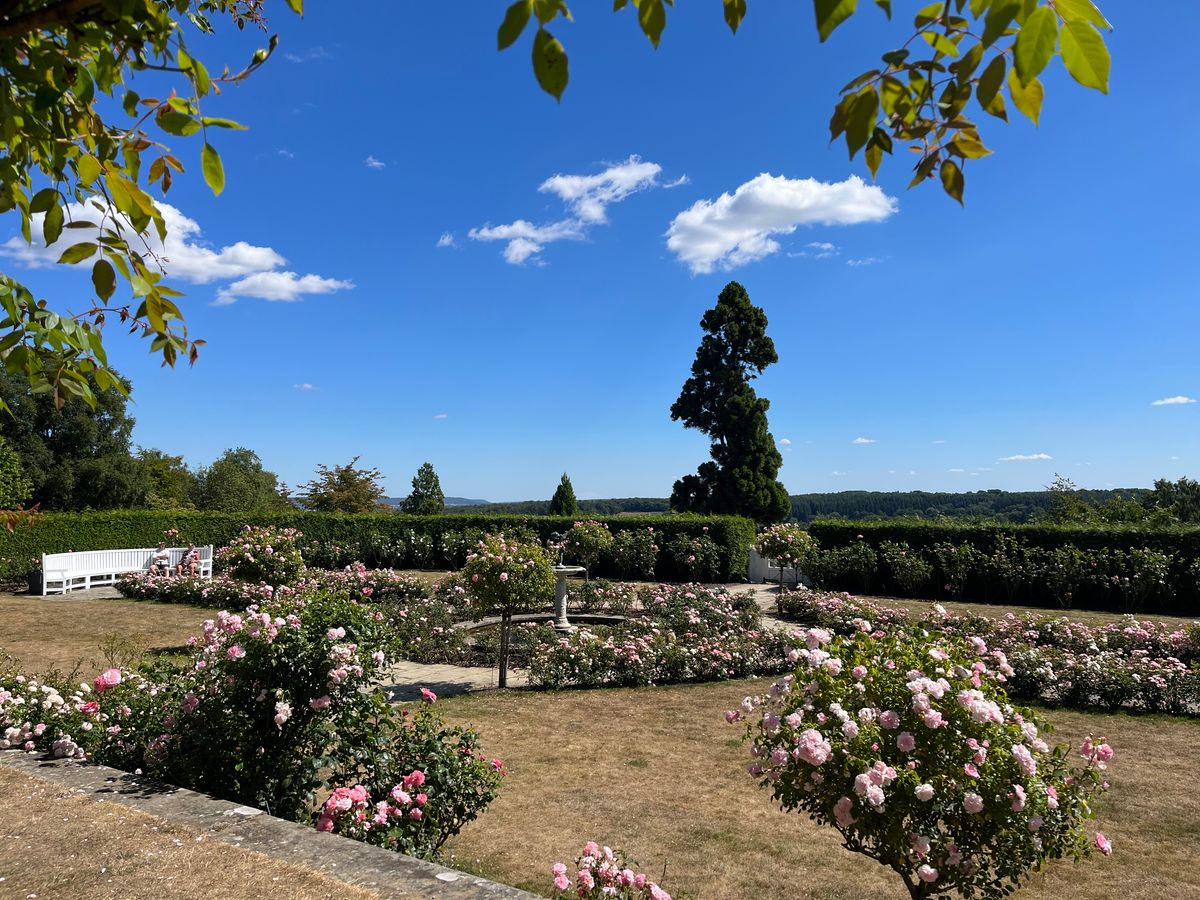 The garden was in full-bloom