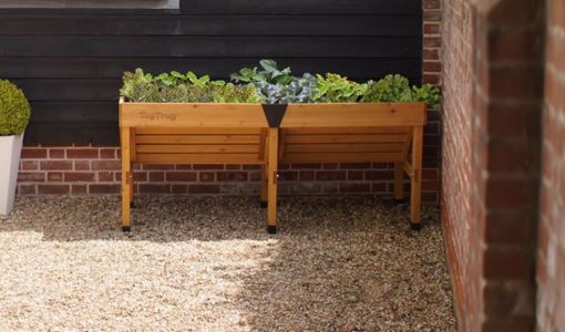 VegTrug planter