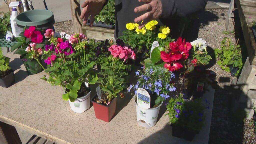 Pat Sullivan’s tips for gardening on a budget Pat Sullivan's tips for gardening on a budget