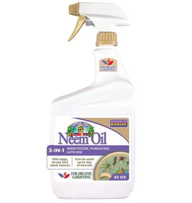 Neem oil spray
