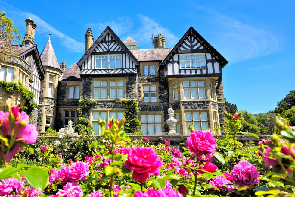bodnant hall in wales with vibrant pink roses in foreground bodnant hall in wales with vibrant pink roses in foreground
