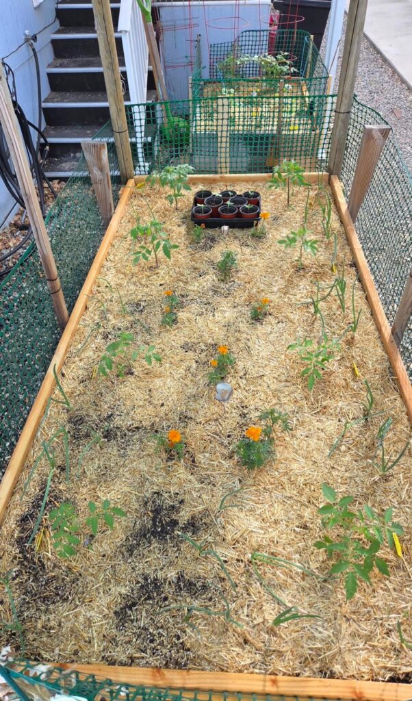 5 weeks growth is insane!