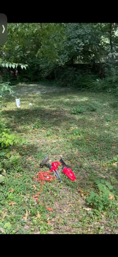 From neglected overgrowth and weeds to whimsical backyard.