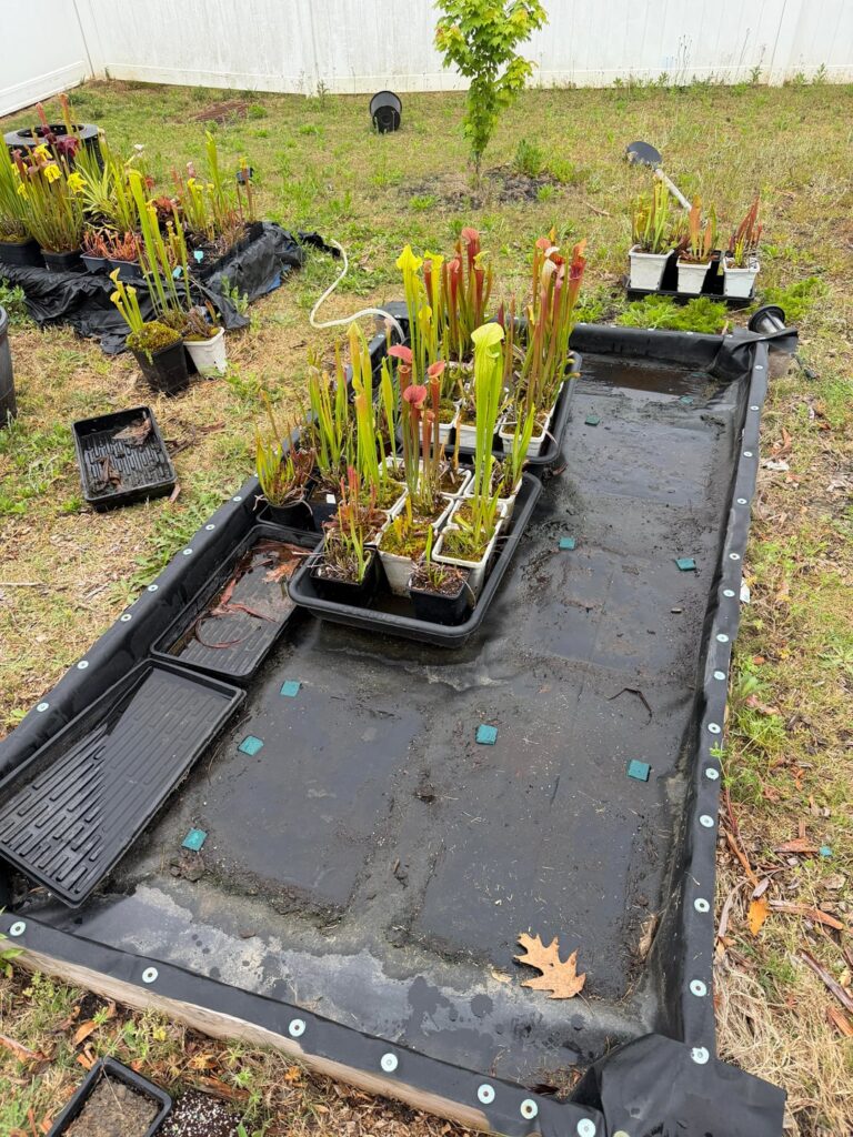 Converting my 8x4 foot flood table into a bog is a daunting task