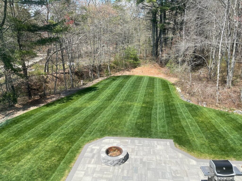 Felt Cute…decided to do double lines on the push mower