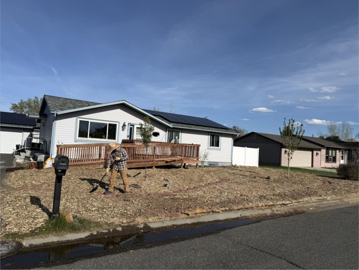 Update post on “Flipped sod - now what”