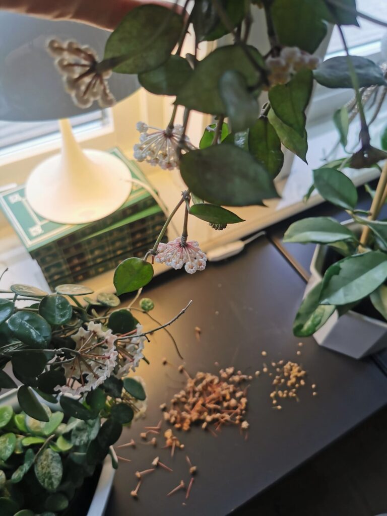 Its so hard to clean... 🥲