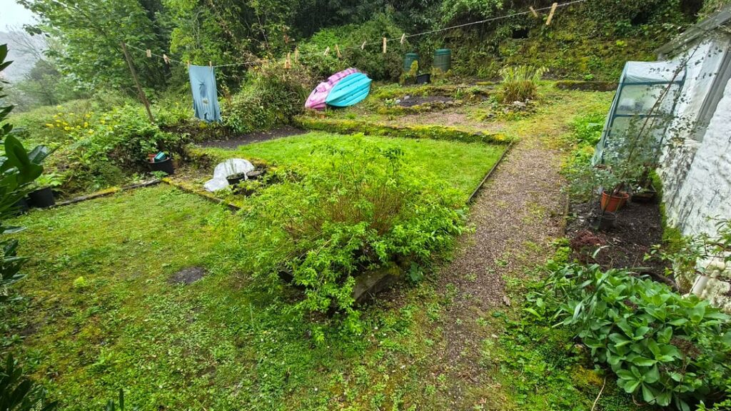 My woodland cottage garden renovation My woodland cottage garden renovation