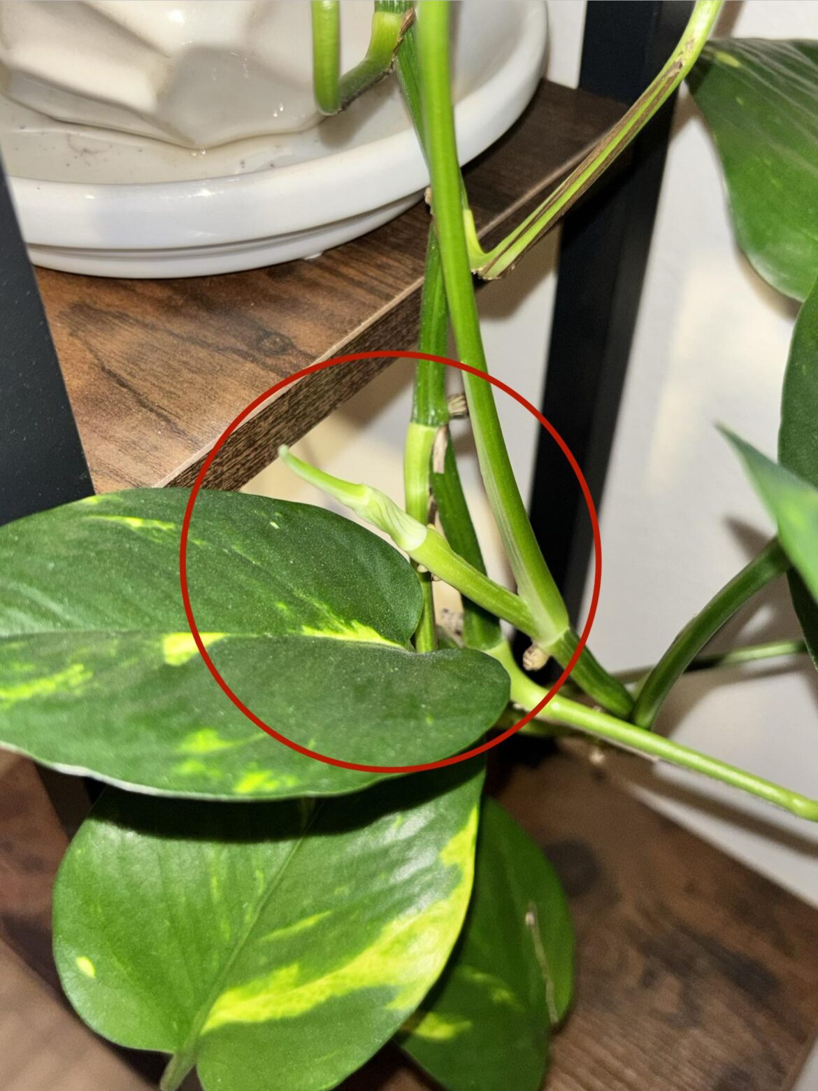 What is going on here?