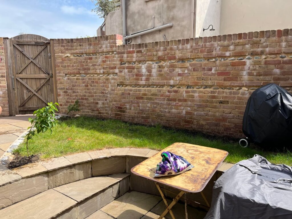 Suggestions for tiny, north facing garden