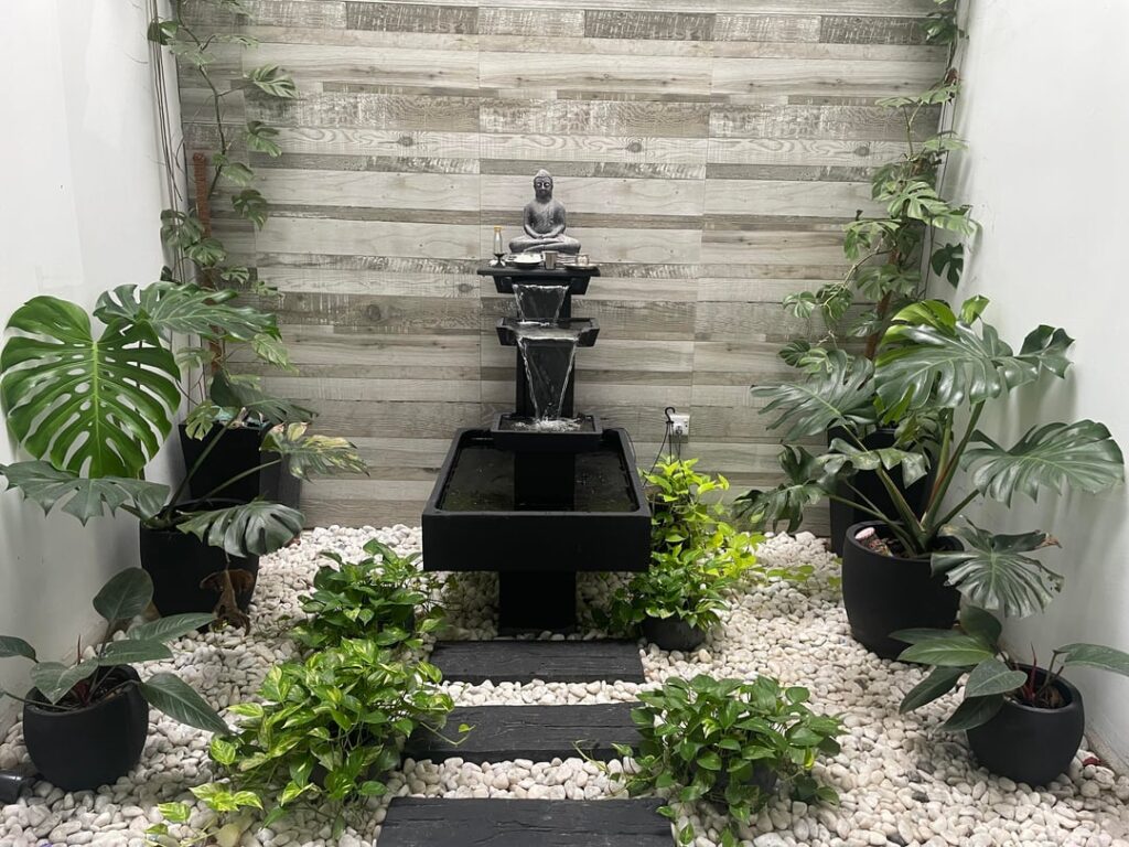 This is my indoor Garden