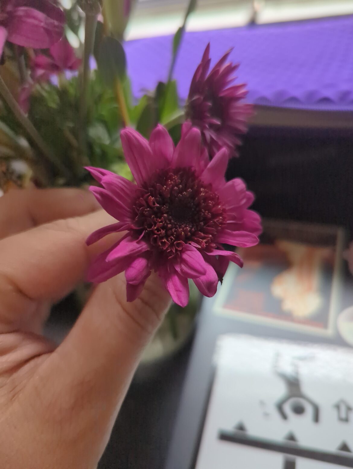 My cat might have eaten this