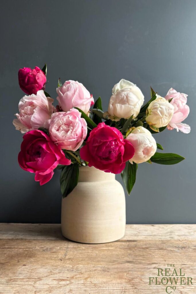 How To Grow Peonies This Spring – Your Expert Guide How To Grow Peonies This Spring – Your Expert Guide