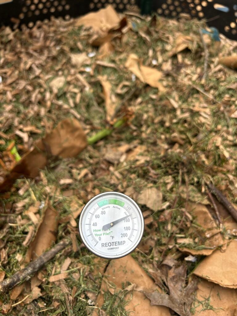 My first compost bin. Is it too hot?