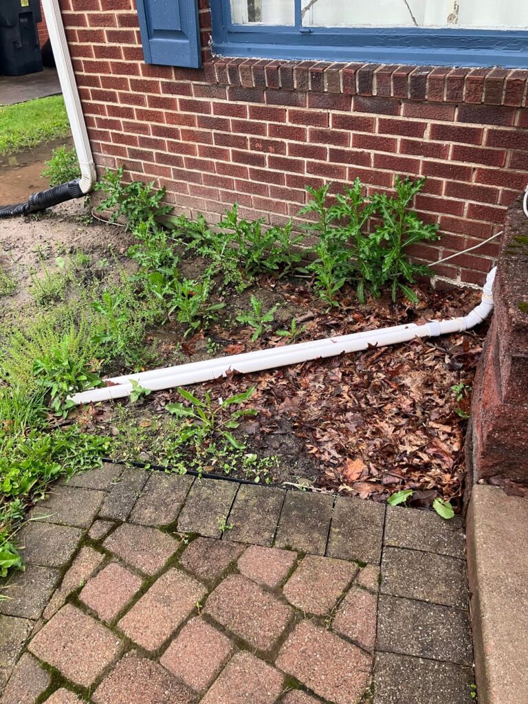 Need soil advice Need soil advice
