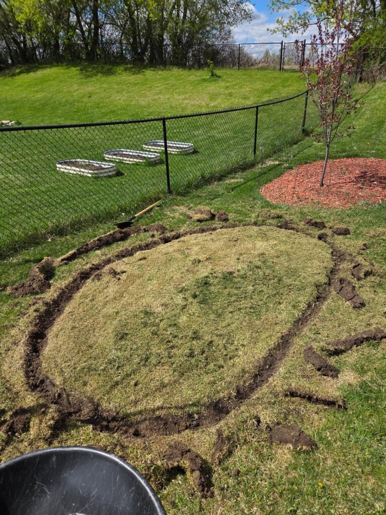 I created another area for native plants, this time I’m seeding it! This cost me $0. I created another area for native plants, this time I'm seeding it! This cost me $0.