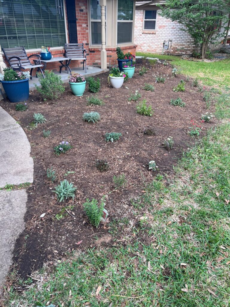 One month of planning, digging and learning One month of planning, digging and learning