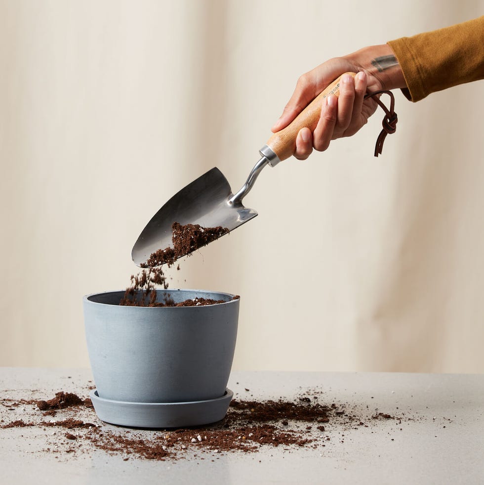 Hand Trowel Hand Trowel