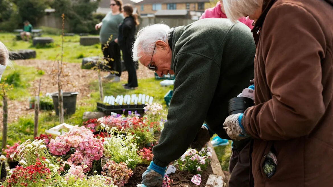 Community group shuts gardens over council dispute Community group shuts gardens over council dispute