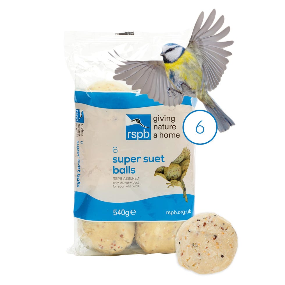 High Energy Suet Balls