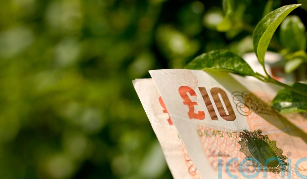 Money-saving tips for the thrifty gardener Money-saving tips for the thrifty gardener