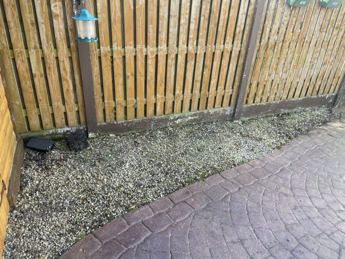 Shite Garden help Shite Garden help