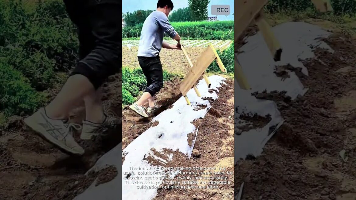 Seed Hole Maker Tool | Fast & Even Planting #viral #tools #smart #agriculture Seed Hole Maker Tool | Fast & Even Planting #viral #tools #smart #agriculture