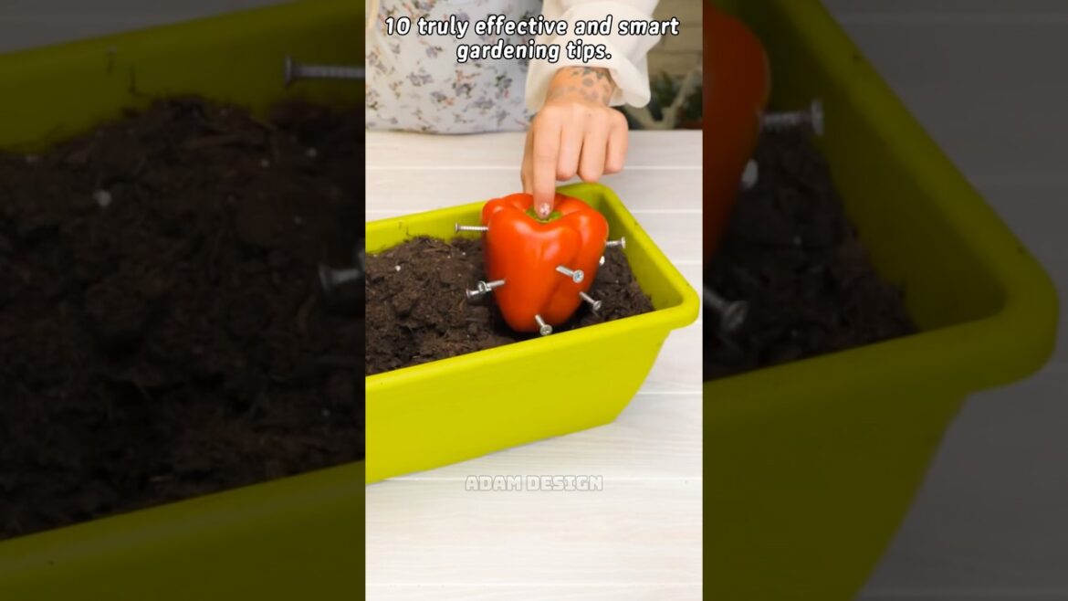 10 truly effective and smart gardening tips #adamdesign #gardeningtips #lifehack