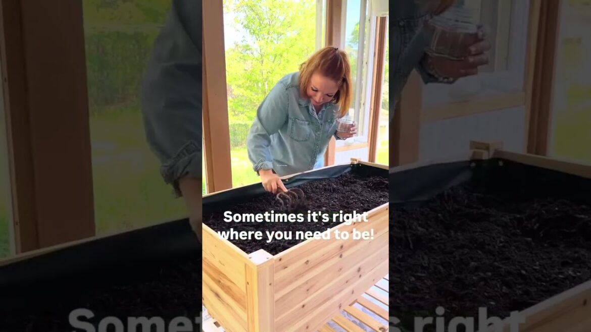 GARVEE Garden Supplies π± Tools for Easy Home Gardening GARVEE Garden Supplies π± Tools for Easy Home Gardening