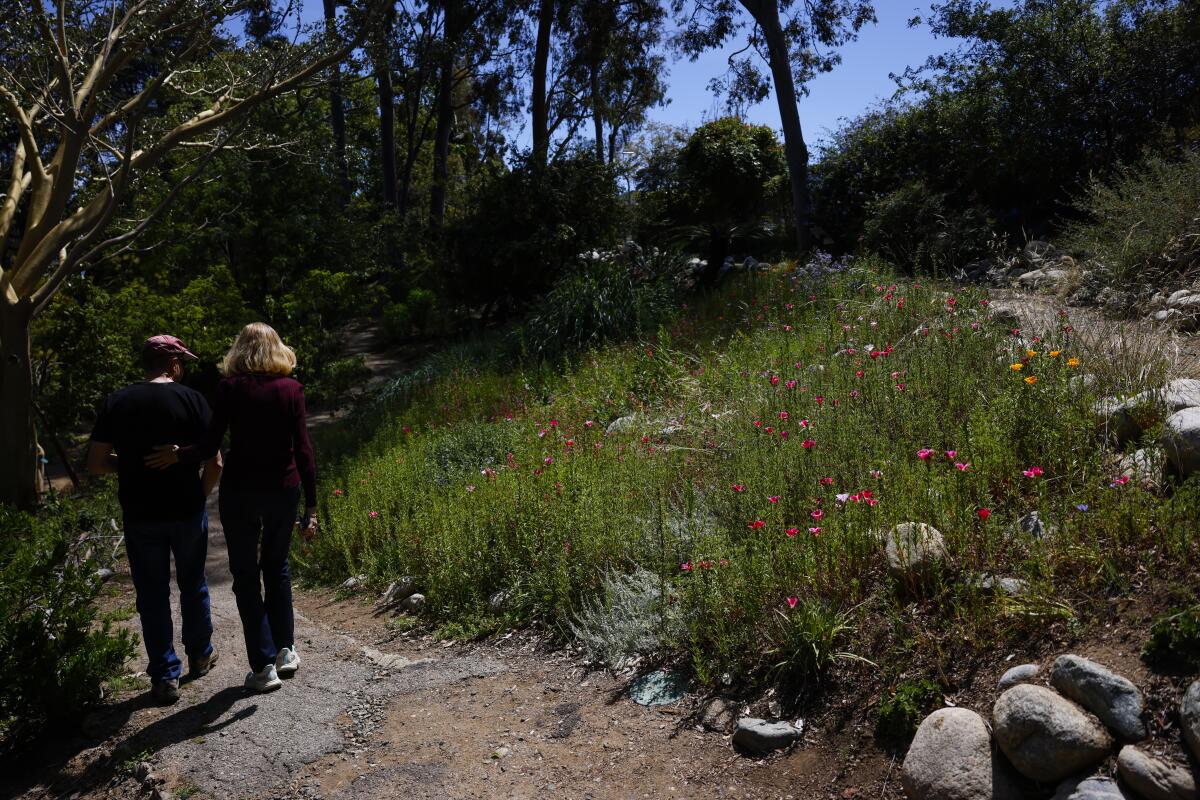 Visitors walk past colorful flowers.