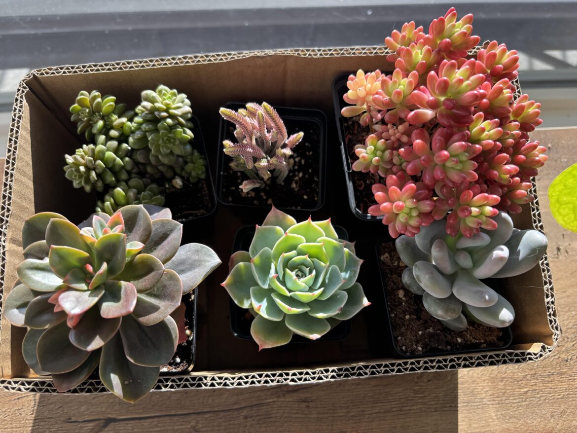 New friends!