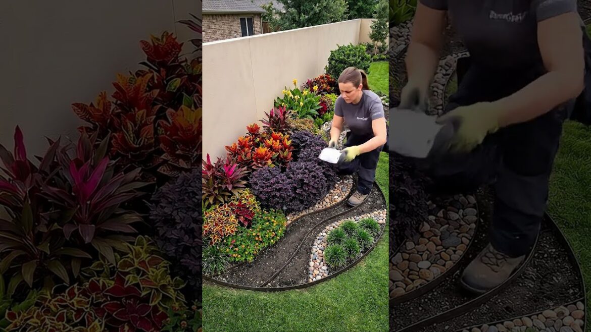 Modern Backyard Landscape Transformation Modern Backyard Landscape Transformation