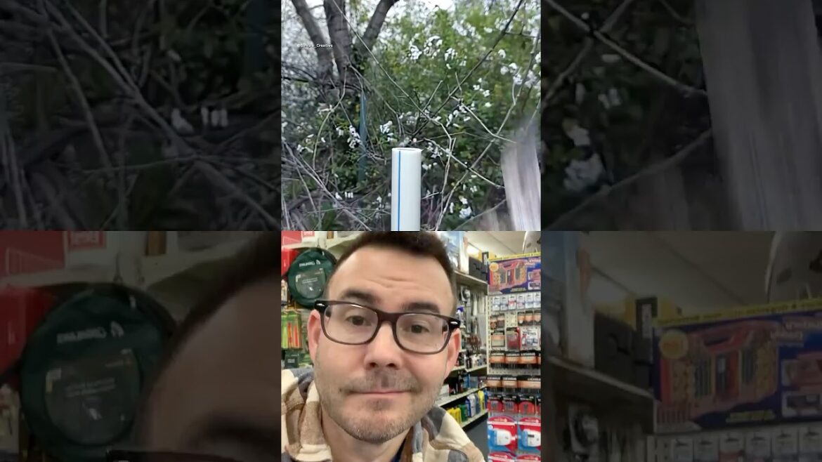 Brilliant DIY Gardening Tool for Pruning Trees #diy #gardening #tools #tricks Brilliant DIY Gardening Tool for Pruning Trees #diy #gardening #tools #tricks